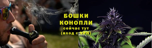 ГАЛЛЮЦИНОГЕННЫЕ ГРИБЫ Приозерск