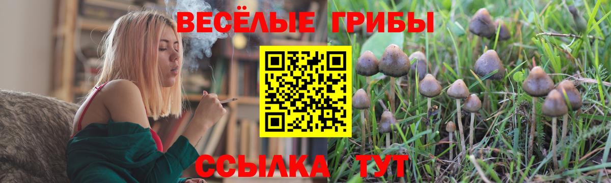 что такое наркотик  Вход с VPN  Кыштым  Галлюциногенные грибы мухоморы  Псилоцибиновые грибы мицелий 