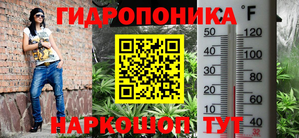 Бошки Шишки планчик  Вход с VPN  Марихуана Ganja  Кыштым  Марихуана индика 